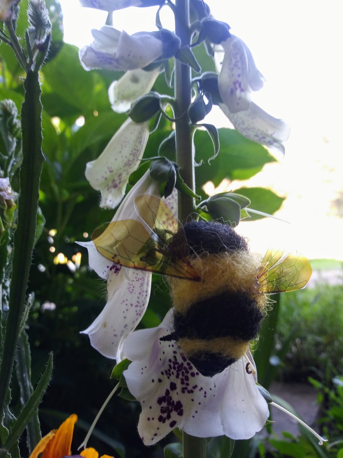 Image of Pack of Three Bumblebees