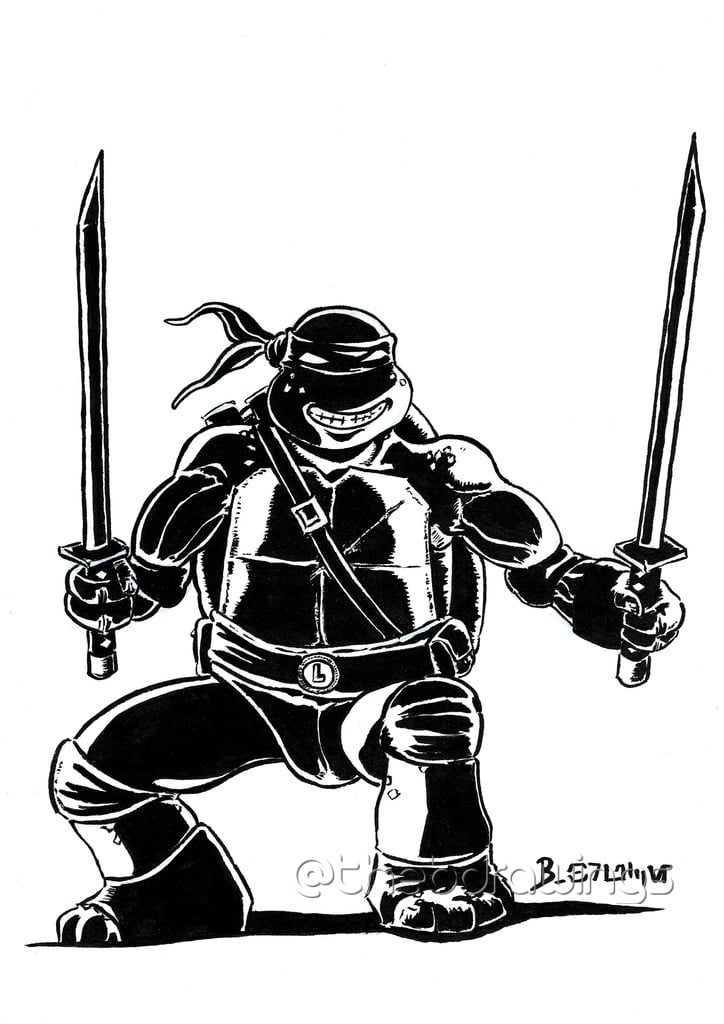 Image of TMNT | Leonardo