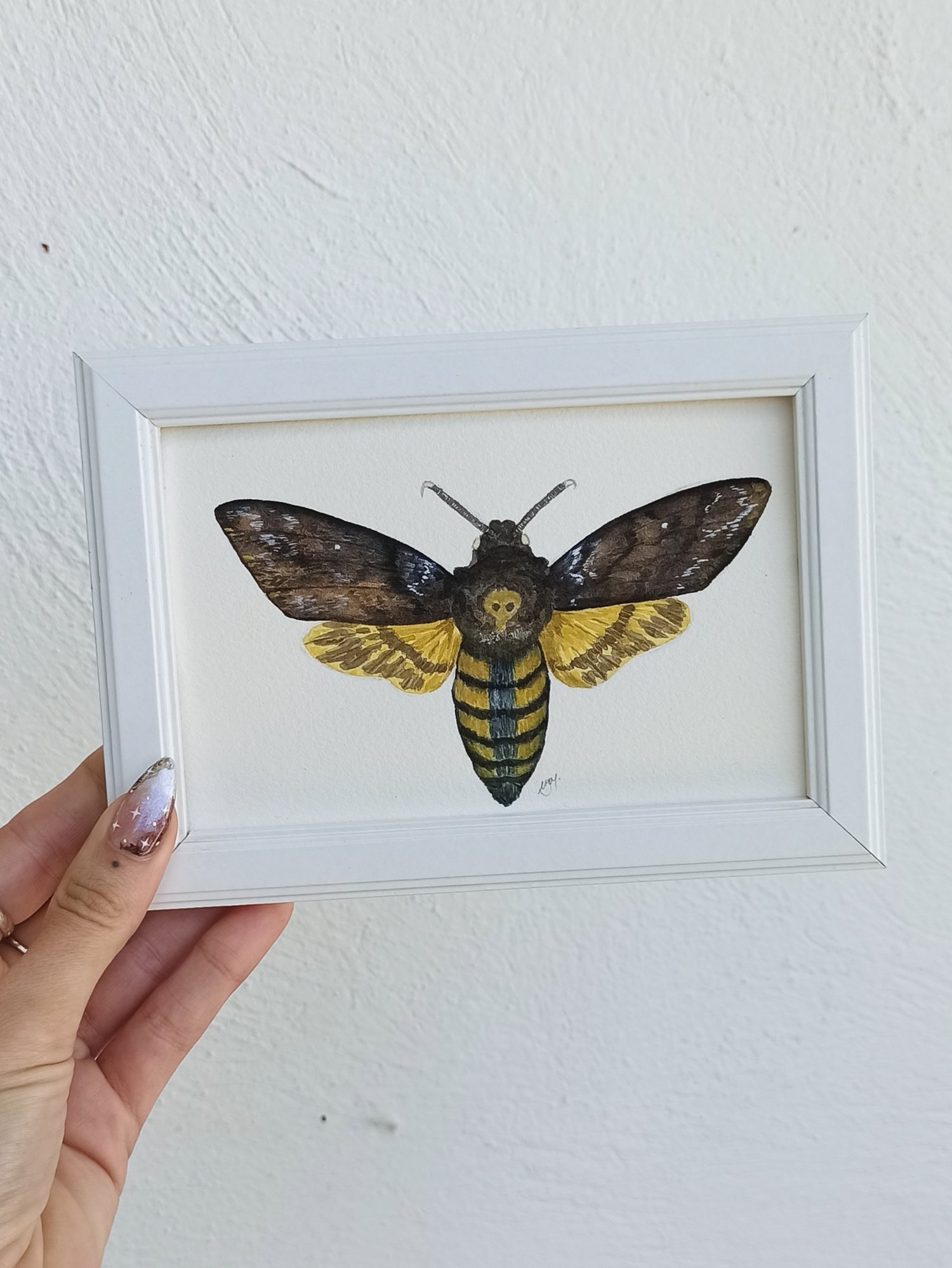 Image of Death Hawk Moth Framed, Mini Original Watercolor Illustration ORIGINAL ARTWORK 