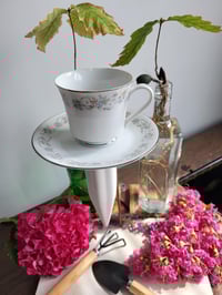 Image 1 of Pink & Blue Rose's Teacup