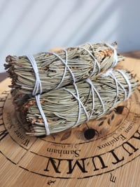 Pine Smudge Stick