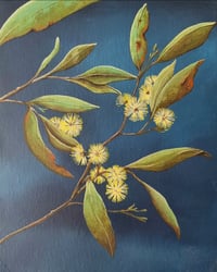 Image 1 of "Golden Wattle" Greeting Card