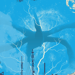 Image of 'HNL’ - blue variant