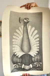 Image 2 of Peacock - original drawing