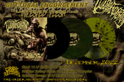 Image of GUTTURAL ENGORGEMENT – The Slow Decay Of Infested Flesh - Limited LP's