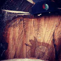 Image 2 of TREE BLAZER CLASSIC SNAPBACK HAT