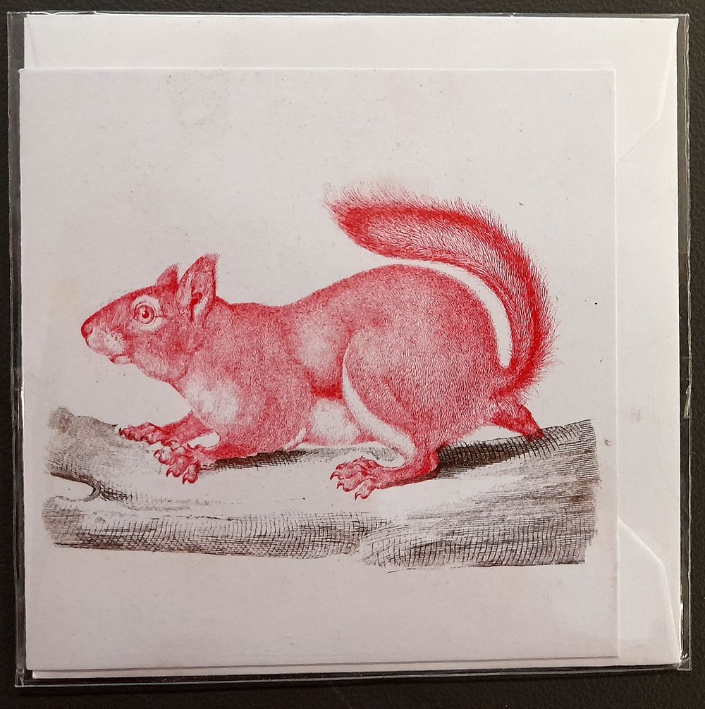 Greeting Cards