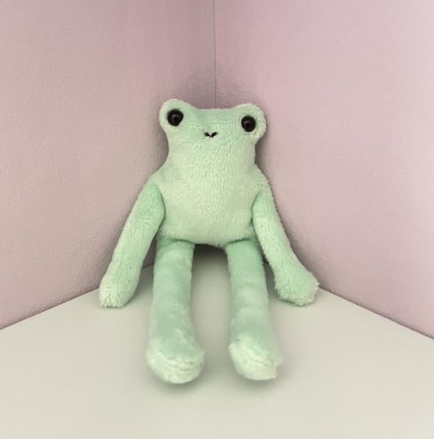 Image of Froggy plush