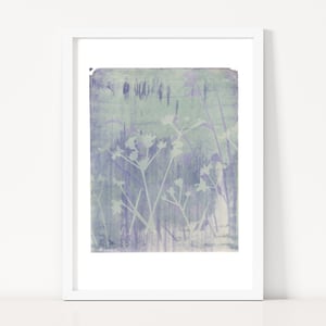 Image of Cow Parsley Lavender Print