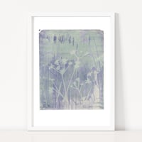 Image 1 of Cow Parsley Lavender Digital Print