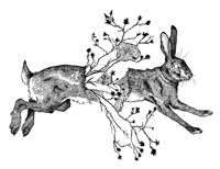 Image 2 of The March Hare