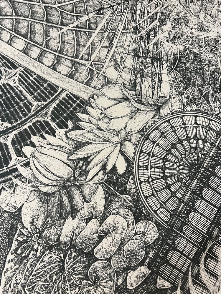 Image of Crystal Palace
