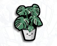 Image 2 of ミニ (MINI) PLANTS x NTS