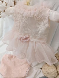 Image 3 of Photo prop | Newborn girl set | Betsy | baby pink