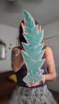 Image 3 of Palapalai Native Hawaiian Fern