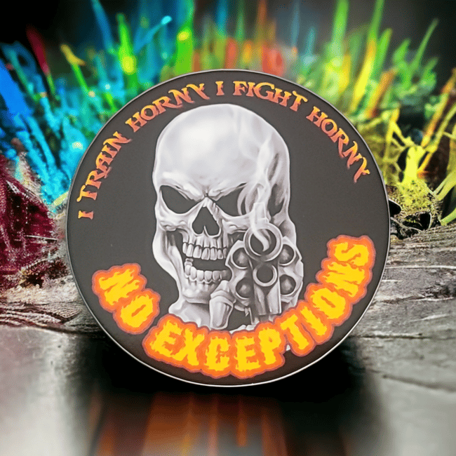 345. Train How You Fight Sticker