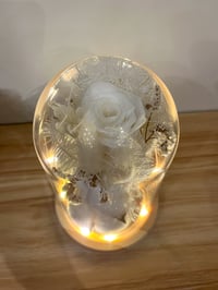 Image 3 of Light Up Flower Dome