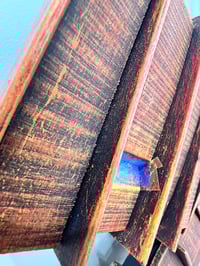 Image 5 of Nest- Larry Fox