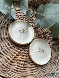Image 3 of Botanical Trinket Dish