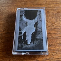 Aloisia Veit - Caprimulgus