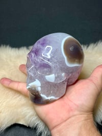 Image 17 of Amethyst & Agate Skull Carving #2241