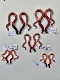 Image 1 of Hangers 🪱