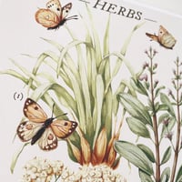 Image 2 of herbs