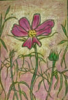Cosmos 