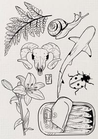 LJ Flash Sheet 2.0!