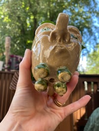 Image 5 of Teacup Anemone Hoya in Handmade Vince Mascoli Original