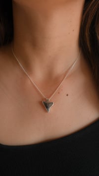 Image 1 of Shark tooth 