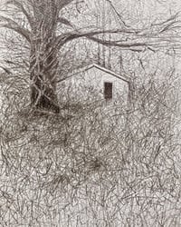 Image 1 of ‘Log Cabin’ by Noel Betowski