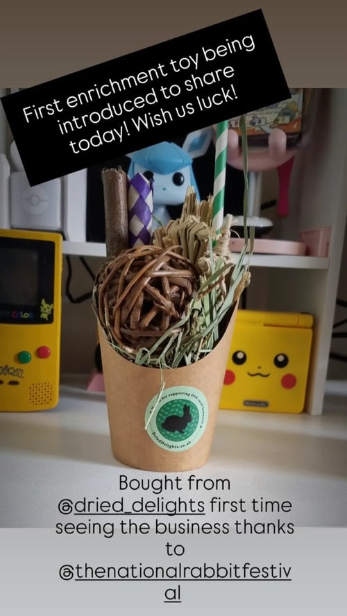 Image of Snack enrichment and forage Cup