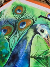 Image 5 of "Peacock" Original 