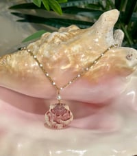 Image 1 of Scallop Shell Necklace N190