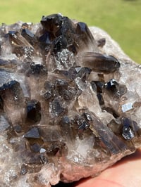 Image 11 of Large Smoky Quartz Points Cluster #2319