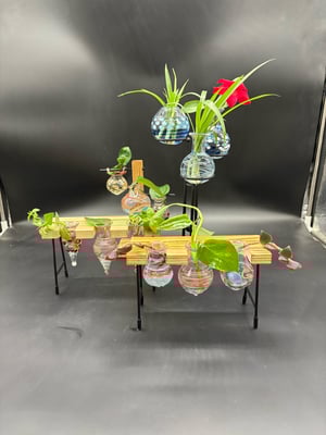 Image of Propagation set threesome #3