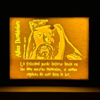 Harry Potter - Dumbledore I Boxlight