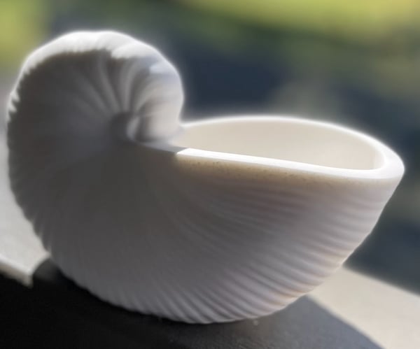 Image of EcoCloud Seashell Candle