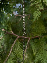 Image 2 of Coyote Tooth Necklace