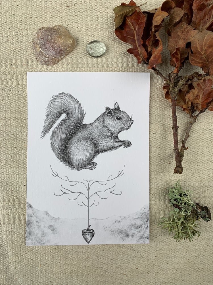 Image of ‘Hidden’ Squirrel Print