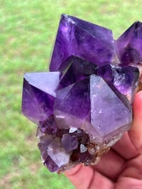 Image 20 of Amethyst Points Cluster | Congo #2869