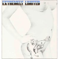 Image 2 of Female anatomy 