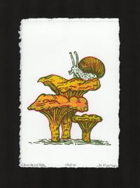 Image 1 of Snail & Chanterelles