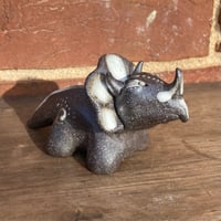 Image 1 of Lil Dino
