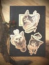 Sticker “Three kittens” Spendenaktion 