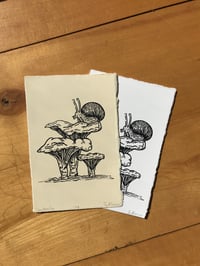 Image 5 of Snail & Chanterelles