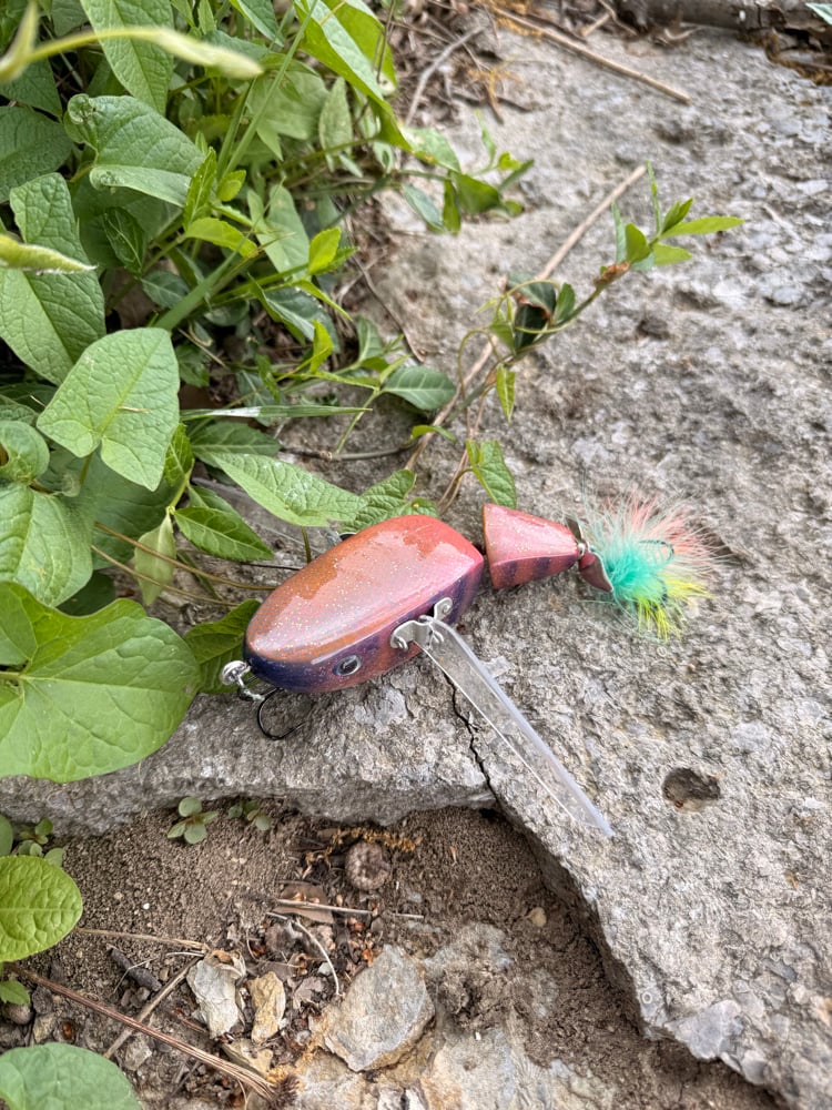 Big D in Pink n Purple Gill