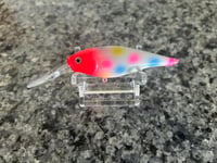 Red Head Wonderbread shad 7