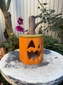 Image 5 of traditional Jack
